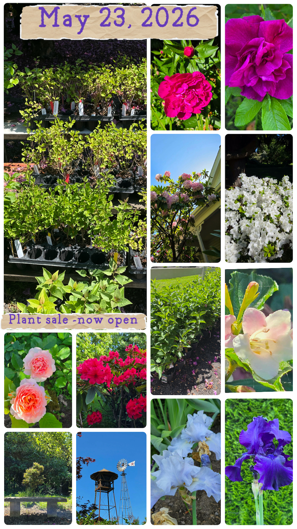 Photos of the gardens in May