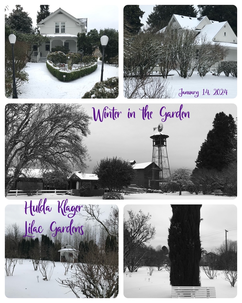 Gardens in Winter!