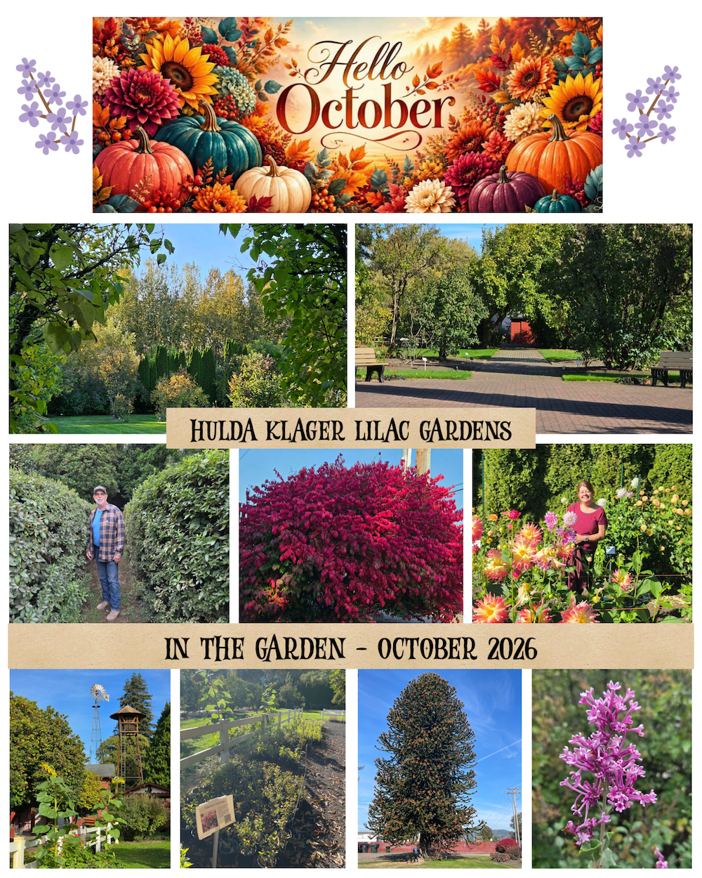 Fall