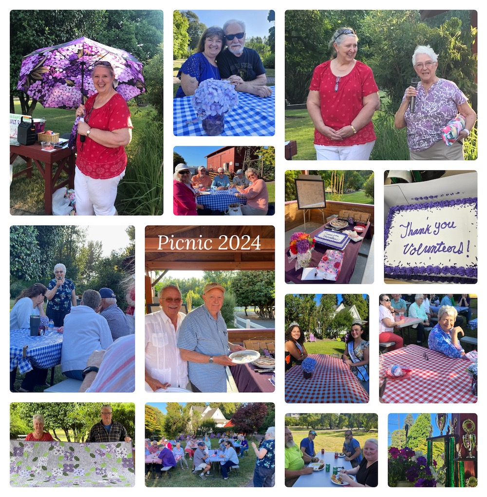 July picnic photos