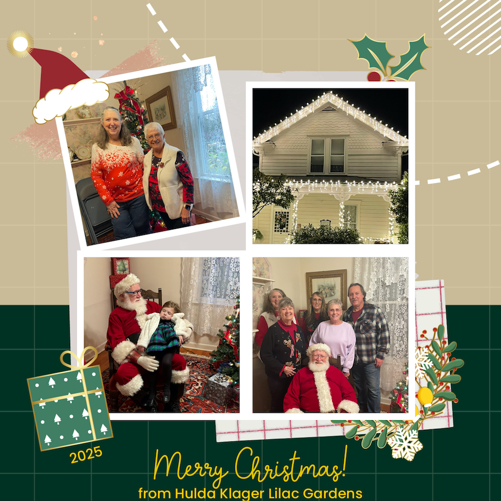 Merry Christmas! from Hulda Klager Lilac Gardens