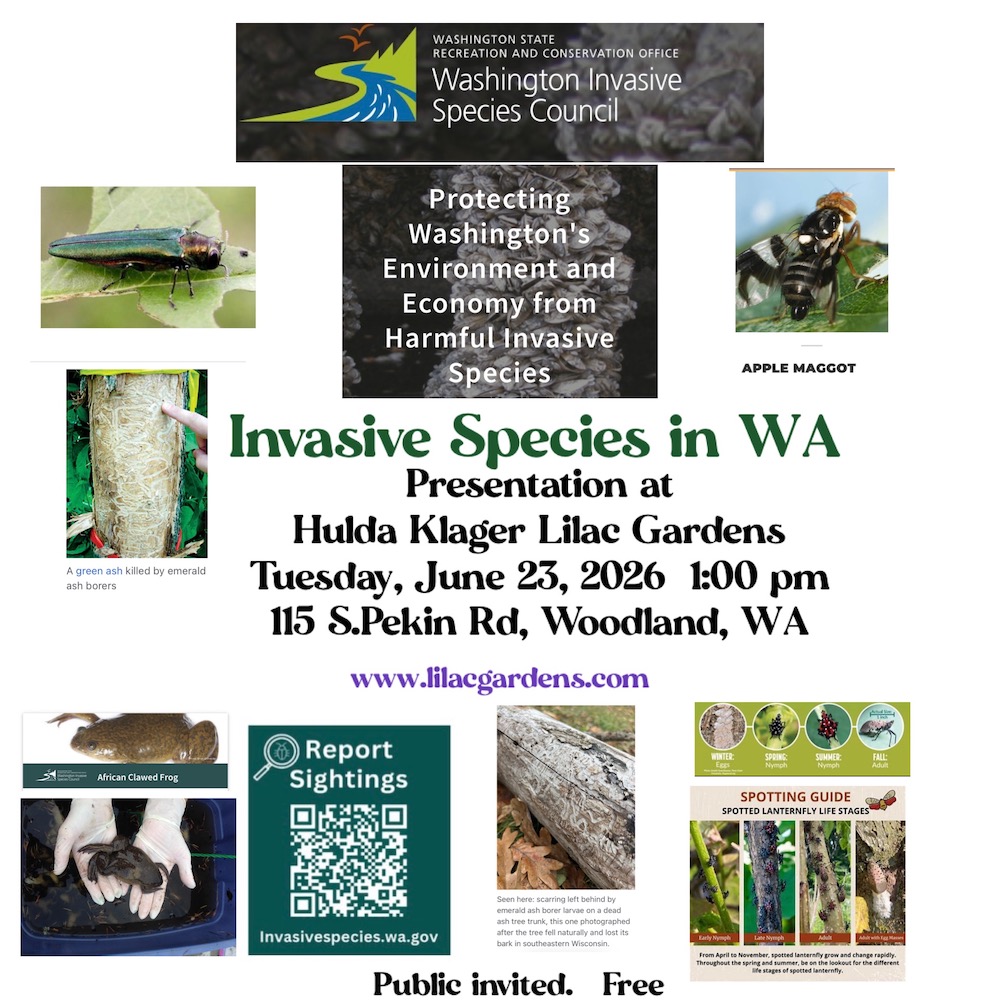Invasive Species