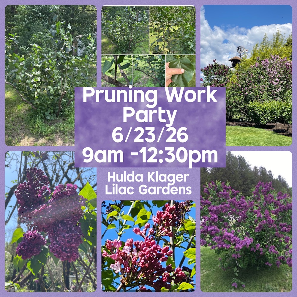 Pruning Work Party, 6/23/26