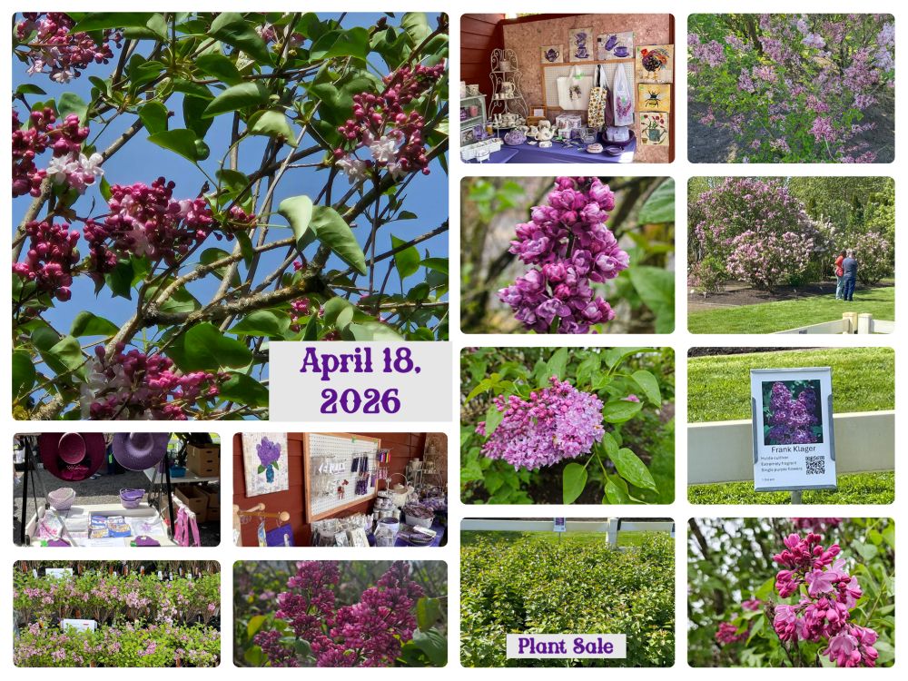 Pictures of opening day