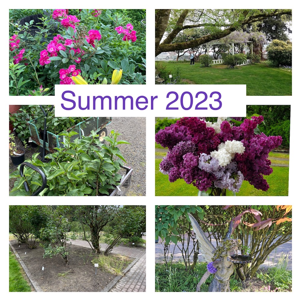 Summer 2023 - Pictures of the gardens