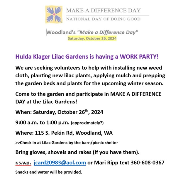 Make a Difference Day Flyer