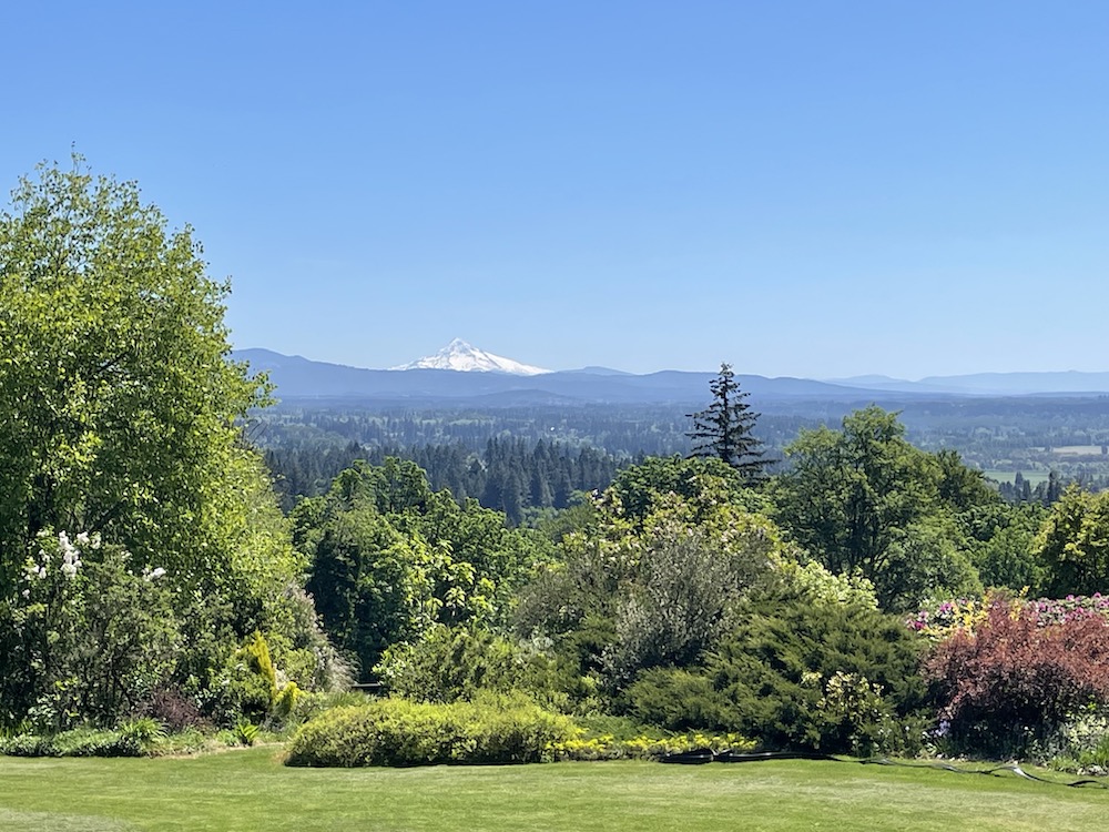 M3 Garden View
