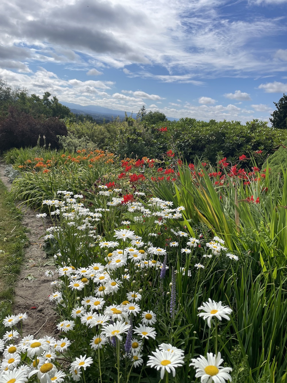 M3 Garden View
