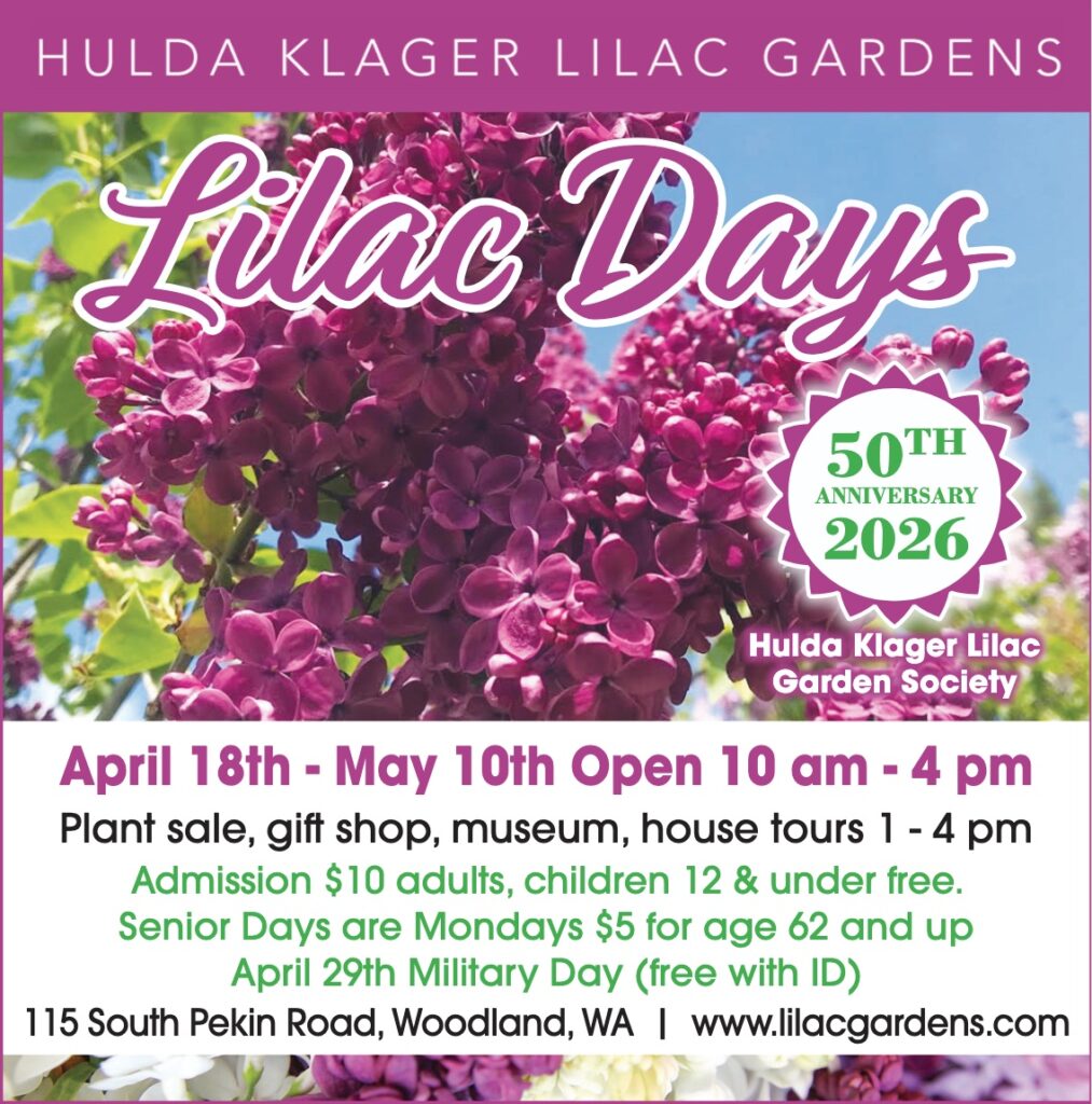 Lilac Days Info